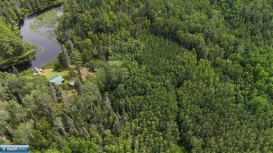 Looking for privacy, look no further. This 40-acre boat/ATV - photo 44