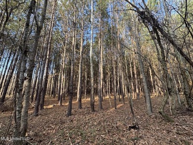 Tucked just off Highway 61 in Lorman, Mississippi, this 140+/- - photo 45