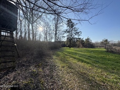 Tucked just off Highway 61 in Lorman, Mississippi, this 140+/- - photo 46