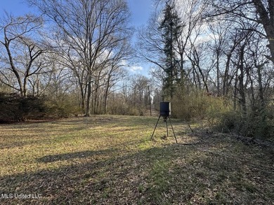 Tucked just off Highway 61 in Lorman, Mississippi, this 140+/- - photo 47