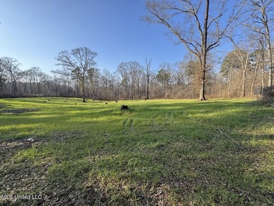 Tucked just off Highway 61 in Lorman, Mississippi, this 140+/- - photo 49