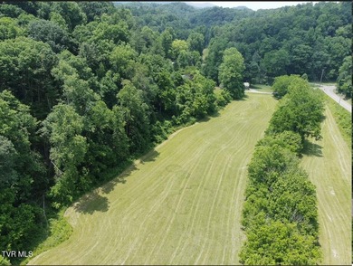 (private lake, pond, creek) Acreage For Sale in Kingsport Tennessee