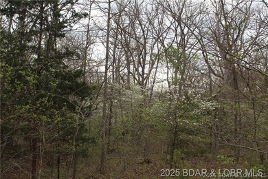 10.8 Acres of Serene, Wooded Land - A Private Retreat Awaits - photo 1