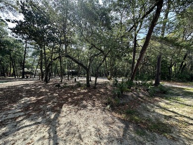 Location* High and Dry, NO HOA investment or development - photo 4