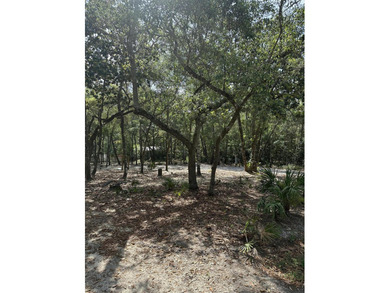 Location* High and Dry, NO HOA investment or development - photo 8