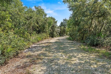 Lake George Acreage For Sale in Fort Mccoy Florida