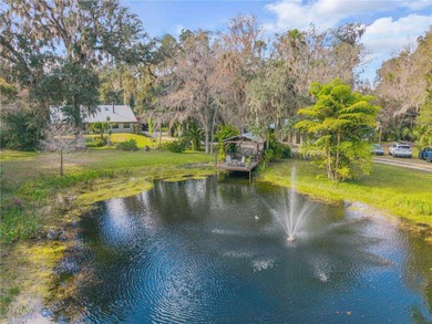 (private lake, pond, coastal) Home For Sale in Edgewater Florida
