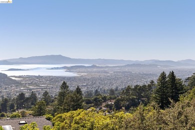 Perched gracefully in the Berkeley Hills this exceptional - photo 41
