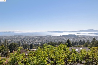 Perched gracefully in the Berkeley Hills this exceptional - photo 42