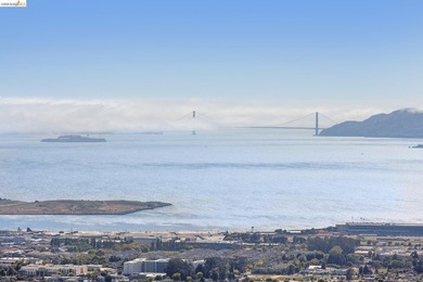Perched gracefully in the Berkeley Hills this exceptional - photo 44