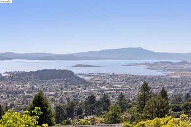 Perched gracefully in the Berkeley Hills this exceptional - photo 46