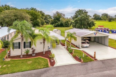 Lake Yale Home For Sale in Leesburg Florida