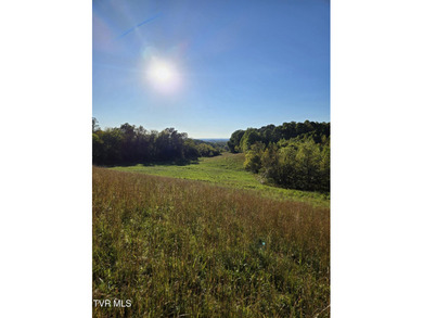 (private lake, pond, creek) Acreage For Sale in Afton Tennessee