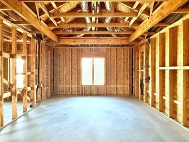 Don't miss this beautiful new build currently under construction - photo 19