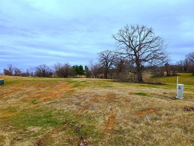 This beautiful 1+ acre hilltop lot sits at the end of a quiet - photo 19
