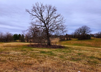 This beautiful 1+ acre hilltop lot sits at the end of a quiet - photo 21