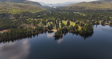 Lake Home For Sale in Saint-Donat,