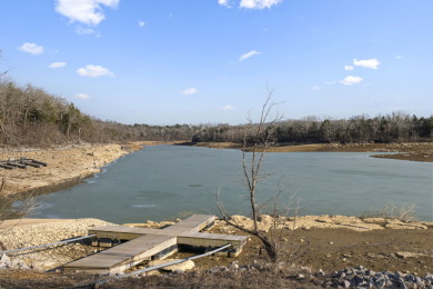 STR-Friendly Lake Home near Mammoth Cave - photo 18