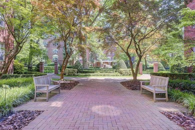 FOREST HILLS SOUTH Very sunny & spacious, 1 Bedroom / 1 Bathroom - photo 31