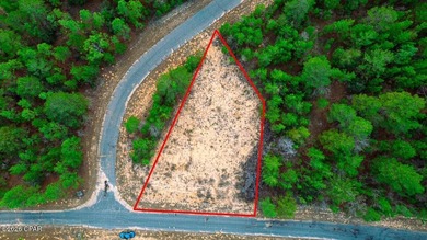 Blue Homestead Lake  Lot For Sale in Chipley Florida