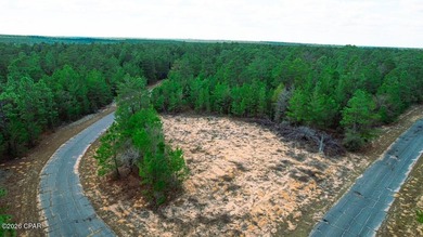 Build your dream home in the peaceful Sunny Hills community - photo 2