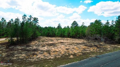 Build your dream home in the peaceful Sunny Hills community - photo 3