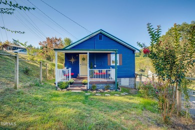 Patrick Henry Lake Home For Sale in Kingsport Tennessee