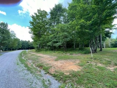 Prime 4.1 acres(2 lots combined) see plat. Both lots each - photo 12