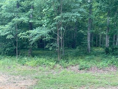 Prime 4.1 acres(2 lots combined) see plat. Both lots each - photo 13