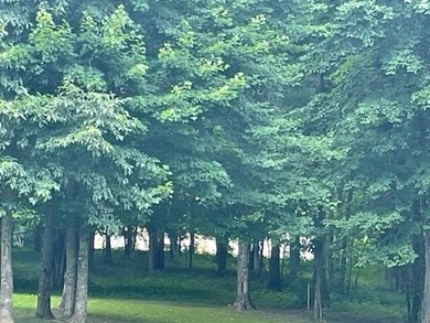 Prime 4.1 acres(2 lots combined) see plat. Both lots each - photo 14