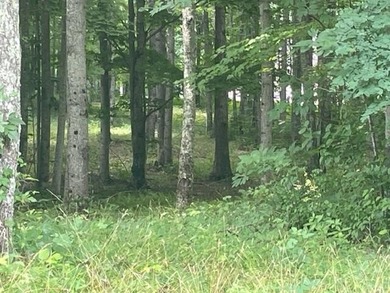 Prime 4.1 acres(2 lots combined) see plat. Both lots each - photo 15