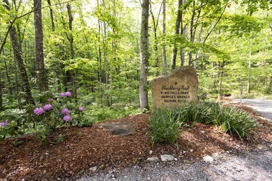 Prime 4.1 acres(2 lots combined) see plat. Both lots each - photo 16