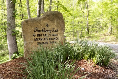 Prime 4.1 acres(2 lots combined) see plat. Both lots each - photo 17