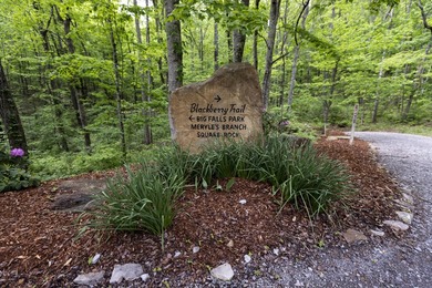 Prime 4.1 acres(2 lots combined) see plat. Both lots each - photo 18