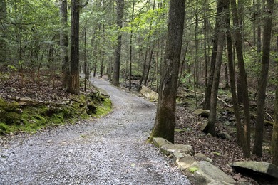 Prime 4.1 acres(2 lots combined) see plat. Both lots each - photo 20