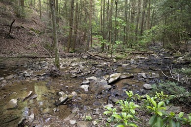 Prime 4.1 acres(2 lots combined) see plat. Both lots each - photo 21