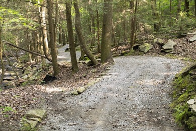 Prime 4.1 acres(2 lots combined) see plat. Both lots each - photo 22
