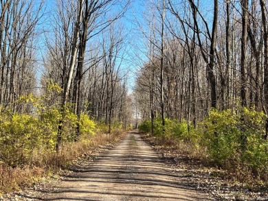 This is a Fox Homes-owned lot located in The Villages of Arneo - photo 22