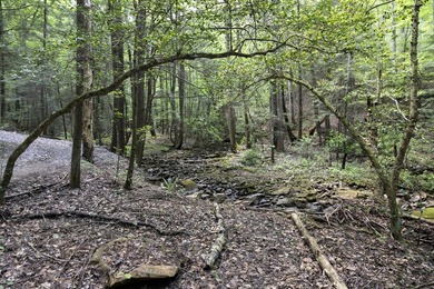 Prime 4.1 acres(2 lots combined) see plat. Both lots each - photo 23