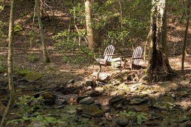 Prime 4.1 acres(2 lots combined) see plat. Both lots each - photo 25