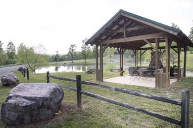 Prime 4.1 acres(2 lots combined) see plat. Both lots each - photo 29