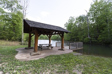 Prime 4.1 acres(2 lots combined) see plat. Both lots each - photo 30