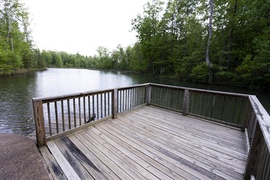 Prime 4.1 acres(2 lots combined) see plat. Both lots each - photo 32