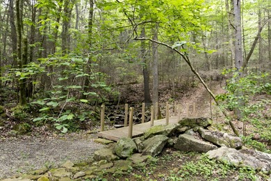 Prime 4.1 acres(2 lots combined) see plat. Both lots each - photo 33
