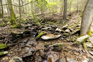Prime 4.1 acres(2 lots combined) see plat. Both lots each - photo 35