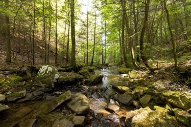 Prime 4.1 acres(2 lots combined) see plat. Both lots each - photo 36