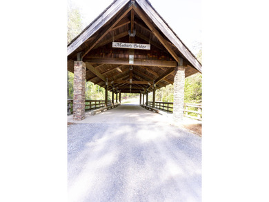 Prime 4.1 acres(2 lots combined) see plat. Both lots each - photo 42