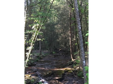 Prime 4.1 acres(2 lots combined) see plat. Both lots each - photo 44