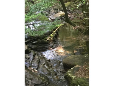 Prime 4.1 acres(2 lots combined) see plat. Both lots each - photo 45