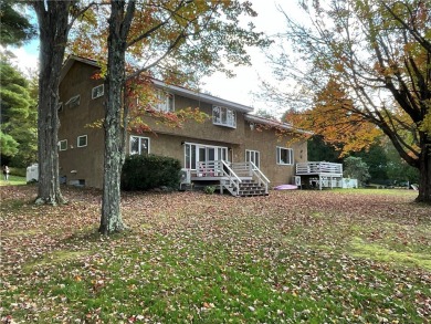 Exquisitely Decorated lakefront home with options for waterfront - Lake Home For Sale in Masonville, New York